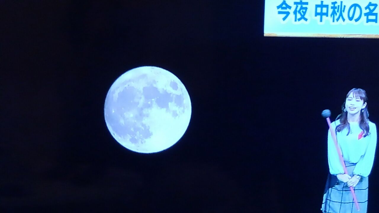 名月 満月 望月 明月 十五夜 今日の月 月今宵 芋名月など ハックン俳句でしょ 愛犬ハックと俳句を楽しむ日々 名月 満月 望月 明月 十五夜 今日の月 月今宵 芋名月など ハックン俳句でしょ 愛犬ハックと俳句を楽しむ日々