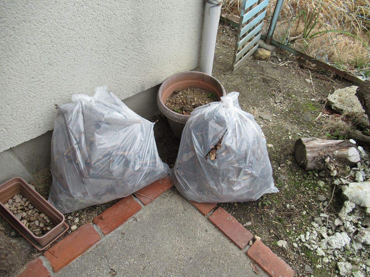 庭掃除 命と絵画と音楽と