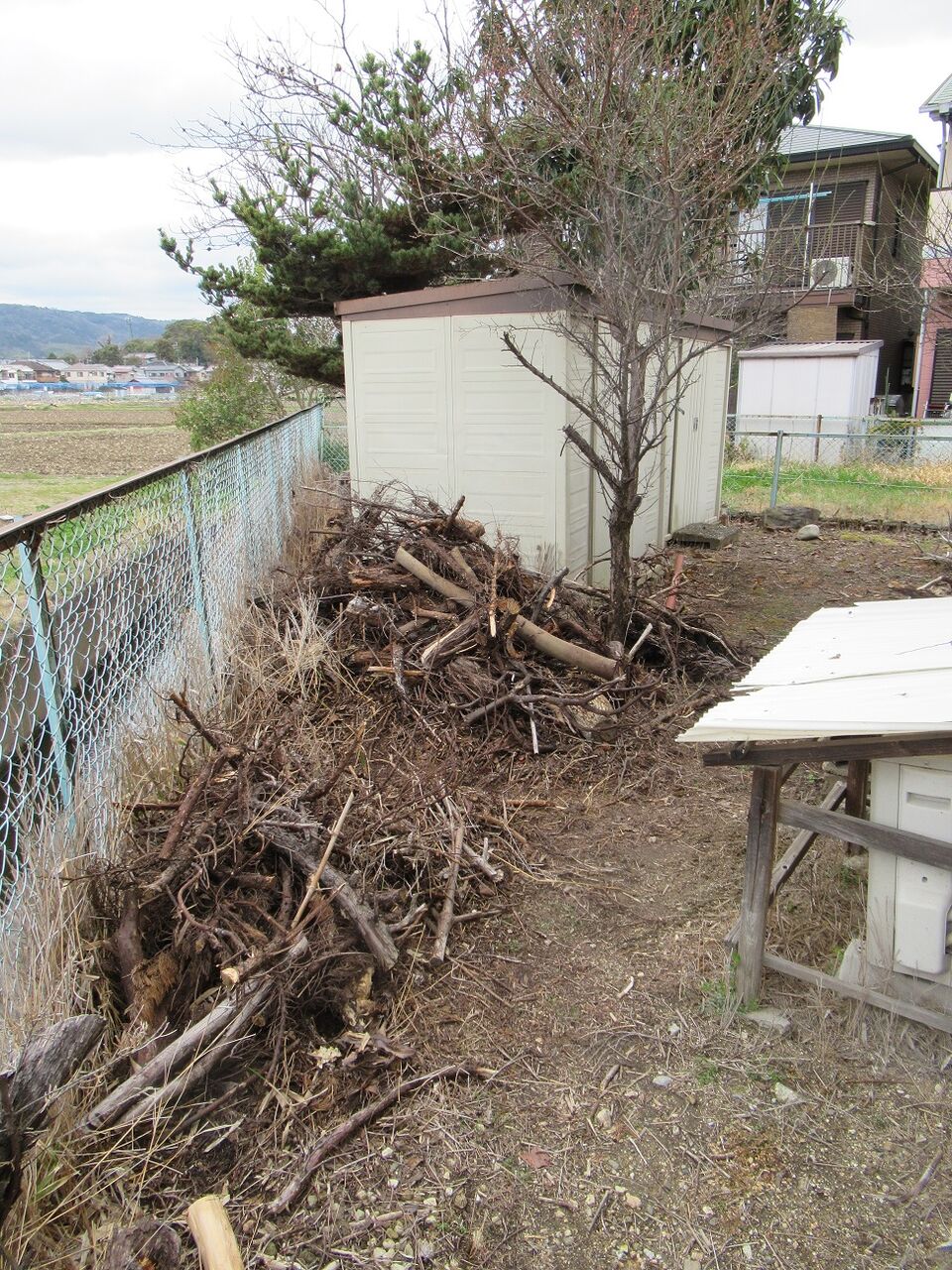 庭掃除 命と絵画と音楽と