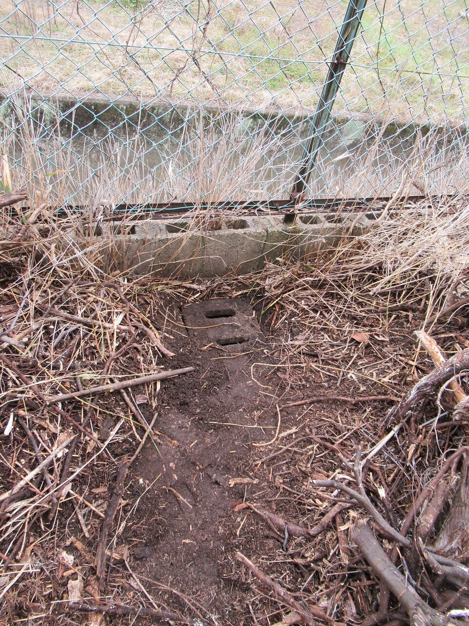 庭掃除 命と絵画と音楽と