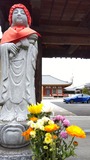 IMG_2026-04-25-10-53-06-186