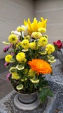 IMG_2026-04-25-10-53-22-569
