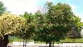 IMG_2026-04-26-10-59-35-345