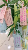 tanabata04