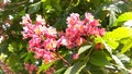 IMG_2026-04-26-10-56-59-757