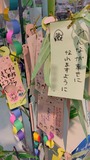 tanabata01