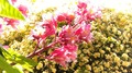 IMG_2026-04-26-10-57-52-990