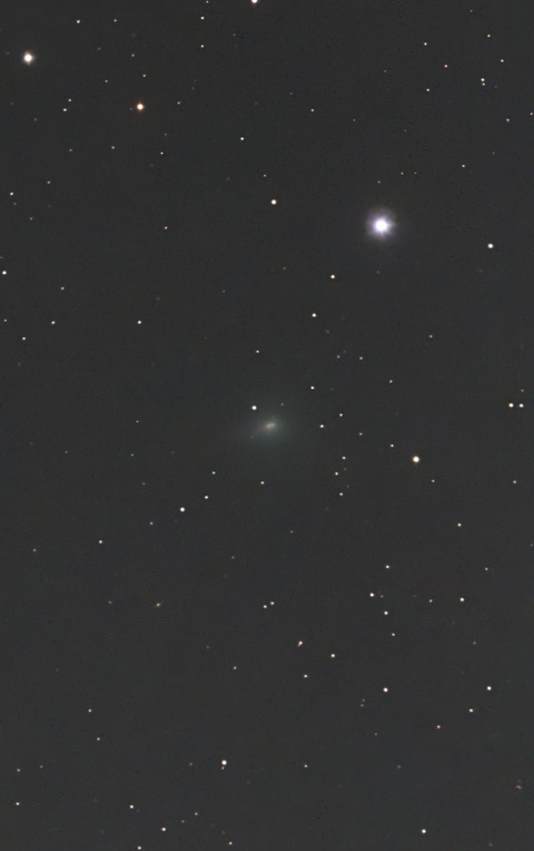 スワン彗星.2025.11.15.WebⅦ