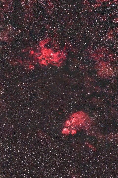 彼岸花&出目金星雲.2023.06.17.WebⅦ