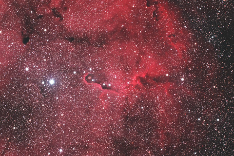 IC1396像の鼻.2026.07.14.WebⅦ