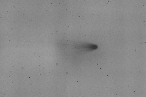 レナード彗星.2021.12.28白黒反転