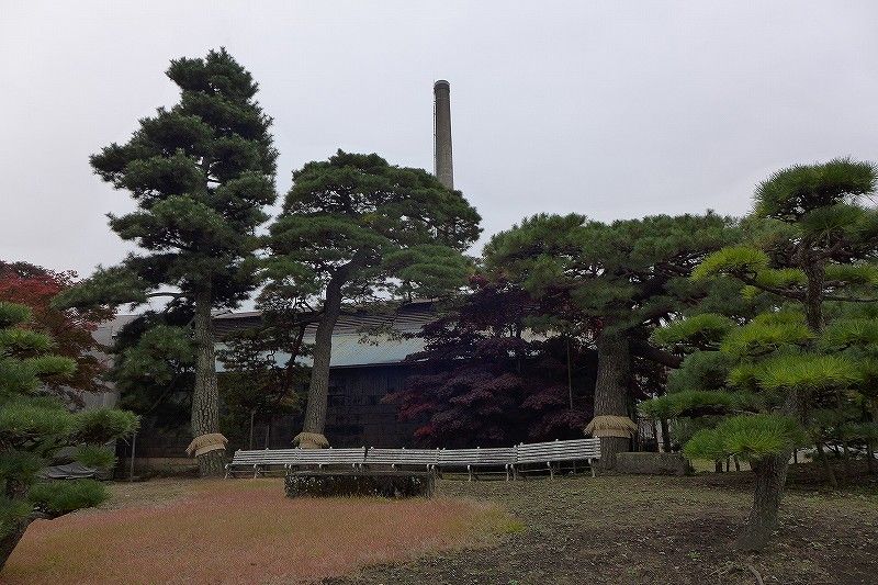 イメージ 16