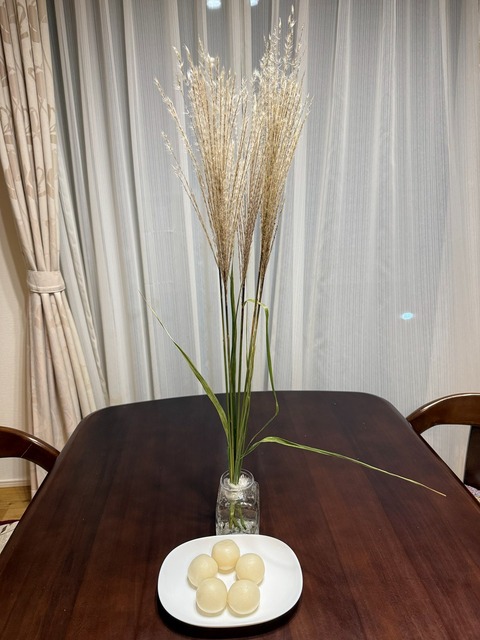 ススキ