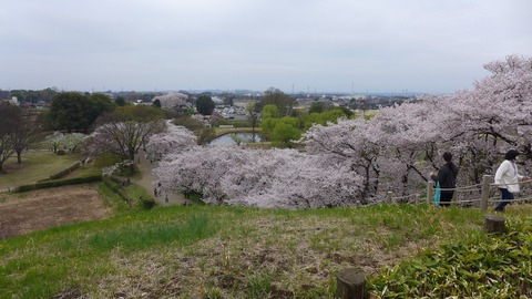 ④丸墓山2