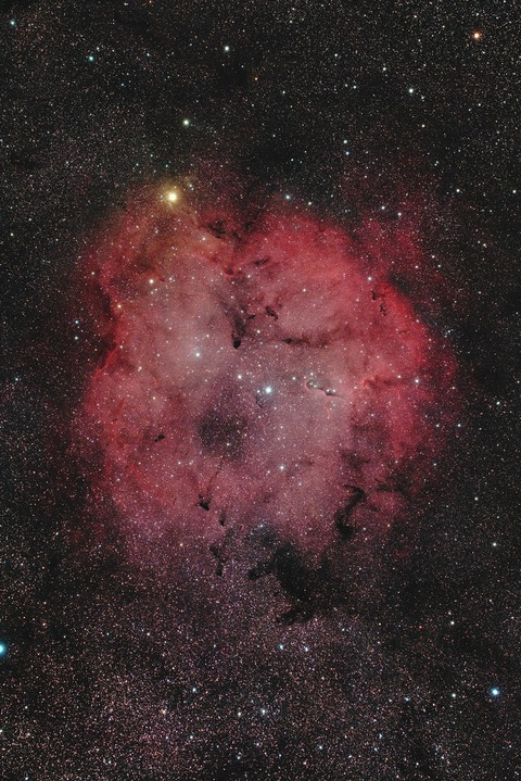 s-IC1396.2021.07.18.新坡平.WebⅣ