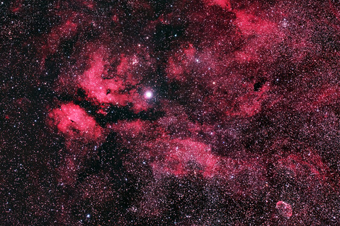 はくちょう座γ星付近の散光星雲.2024.09.06.WebⅦ