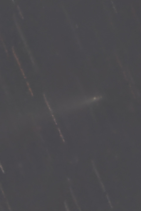 K1アトラス彗星拡大.2025.12.07.WebⅧ