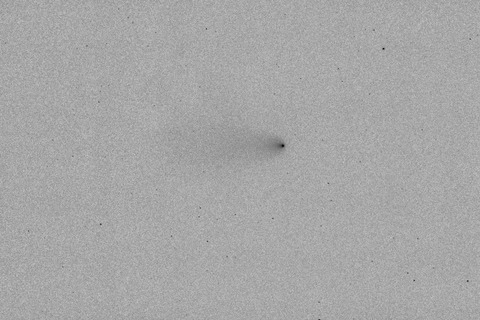 レナード彗星.2021.12.23.白黒反転