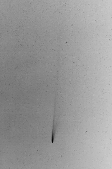 赤城高原に沈むレモン彗星白黒反転.2025.10.WebⅣ