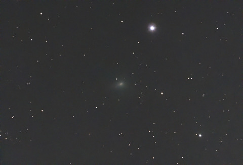 シー君によるスワン彗星.2025.11.WebⅦ