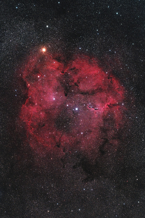 IC1396.2025.06.28.WebⅧ