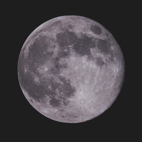 コールドムーン.2025.12.05.WebⅦ