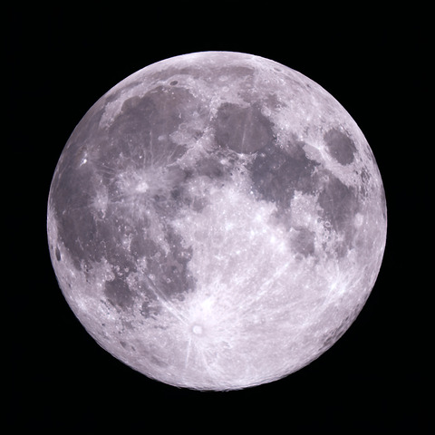 ウルフムーン.2025.01.14.WebⅦ