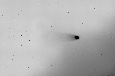 s-レナード彗星.2021.12.26.白黒反転