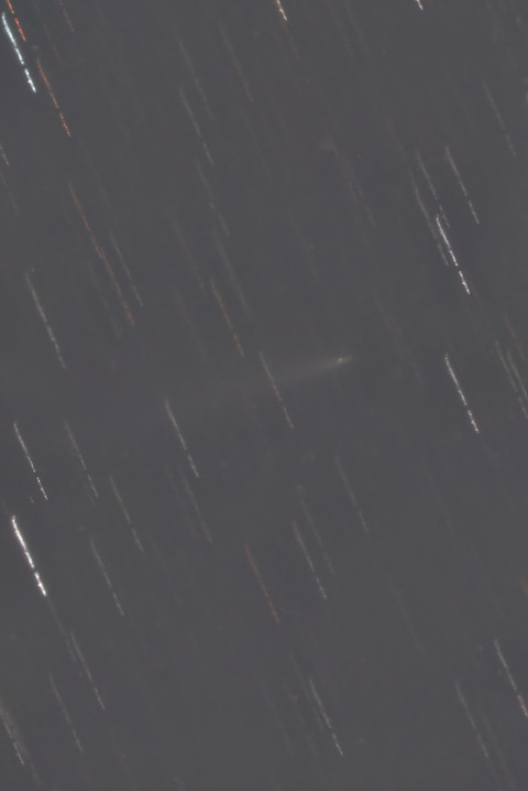 K1アトラス彗星.2025.12.07.WebⅦ