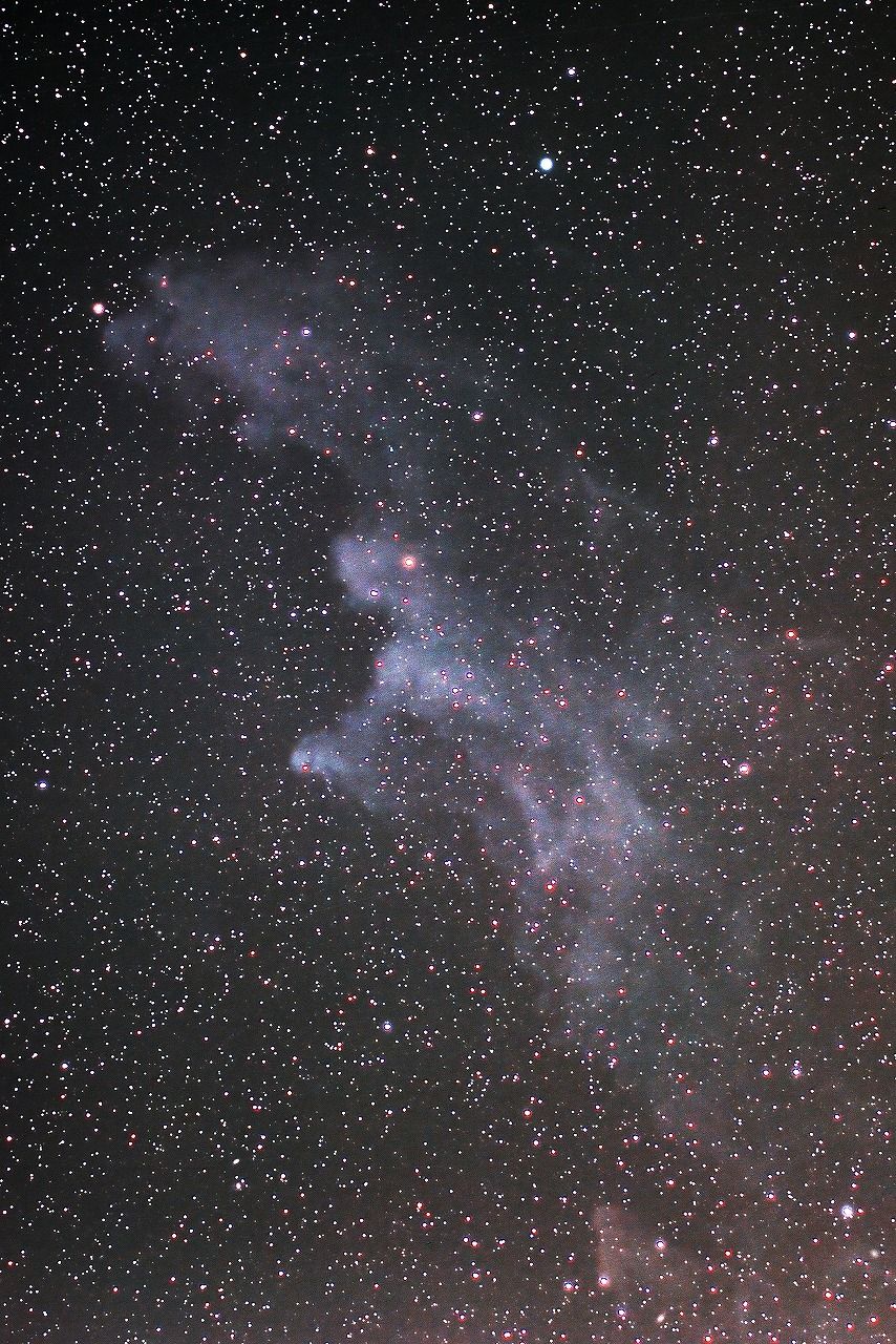 エリダヌス座の魔女の横顔星雲 ic2118 のぼうの星 エリダヌス座の魔女の横顔星雲 ic2118 のぼうの星