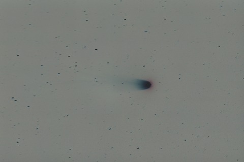 s-レナード彗星.2021.12.21白黒反転