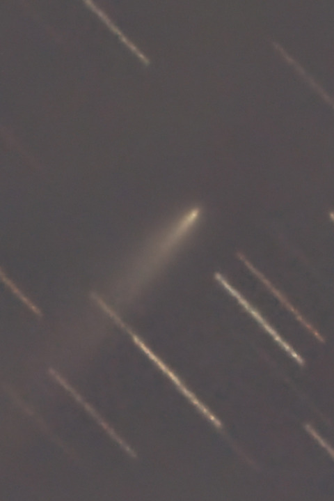 K1アトラス彗星拡大.2025.12.03.WebⅧ