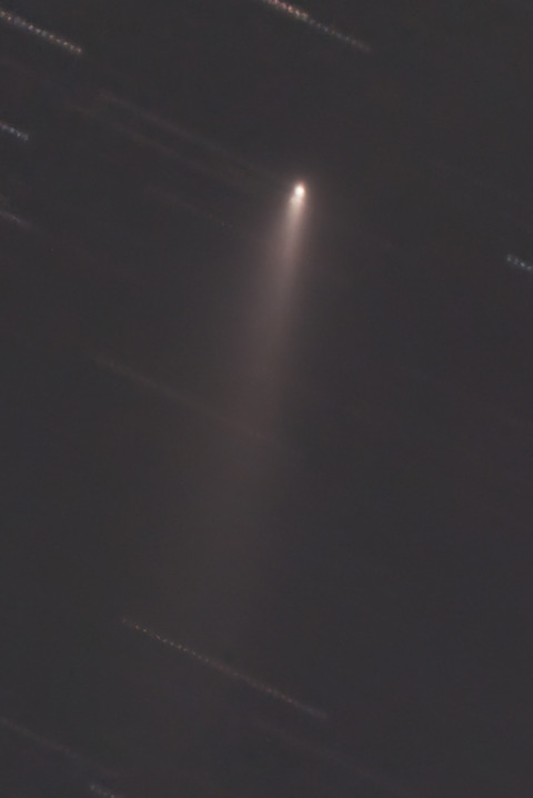 アトラス彗星K1トリ1.2025.11.30.WebⅧ