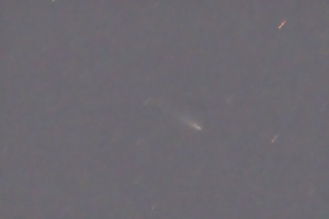 K1アトラス彗星.2025.12.02.WebⅦ