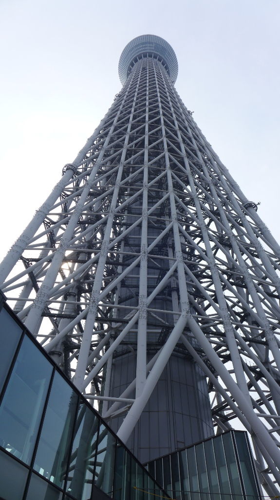 イメージ 14