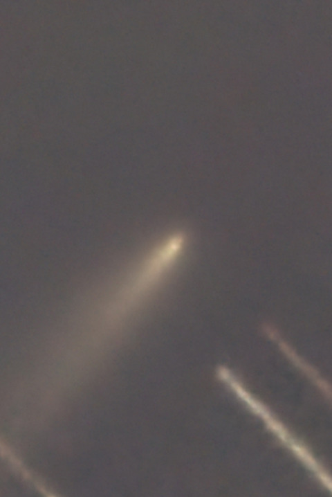 K1アトラス彗星拡大再.2025.12.03.WebⅨ