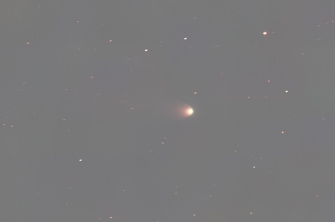 s-レナード彗星.2021.12.19