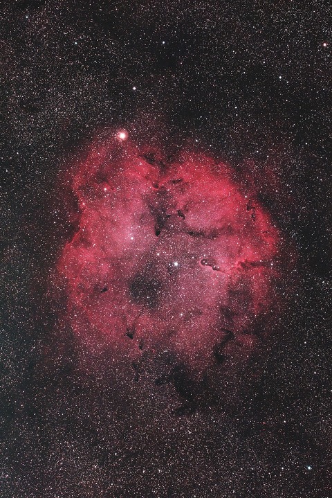 IC1396散光星雲.2022.05.28.WebⅦ