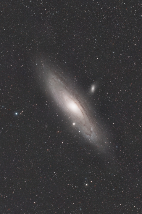 M31.BXT2026.07.14.WebⅦ