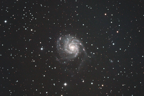 M101.2021.03.10.WebⅩ