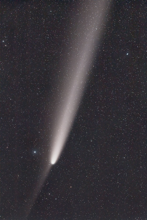 紫金山・アトラス彗星.2024.10.20.WebⅦ コピー