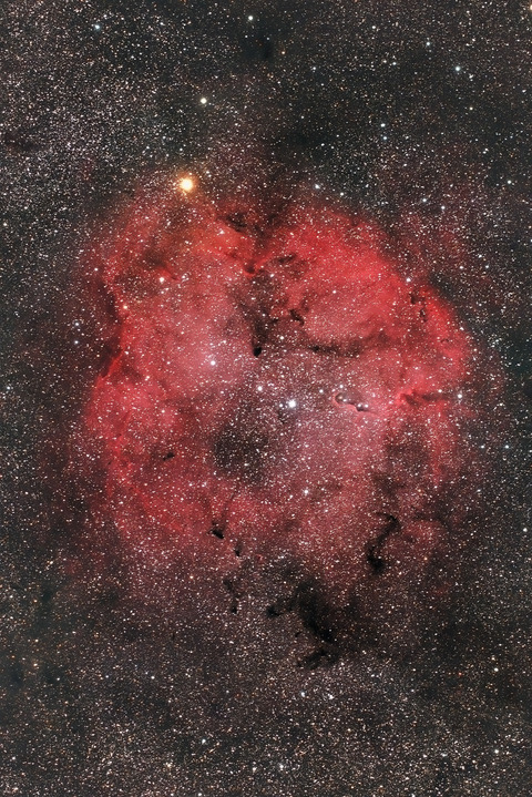 聖地.IC1396.BXT.WebⅧ