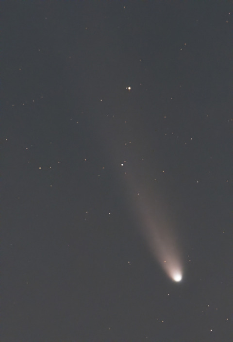 シー君によるレモン彗星中央.2025.11.11.WebⅧ