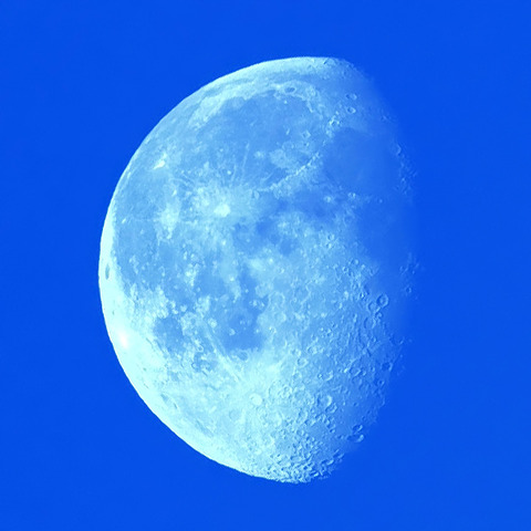 真昼の月.2025.11.10.WebⅦ