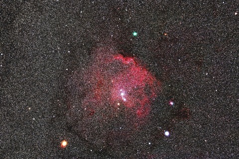 s-エンゼルフィッシュとアトラス彗星.2020.11.21.WebⅧ