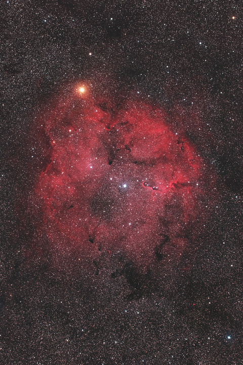 IC1396.2026.07.14.WebⅦ