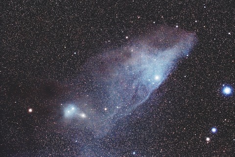 s-青い馬星雲.2020.04.25.WebⅦ