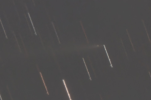 K1アトラス彗星拡大.2025.12.10.WebⅧ