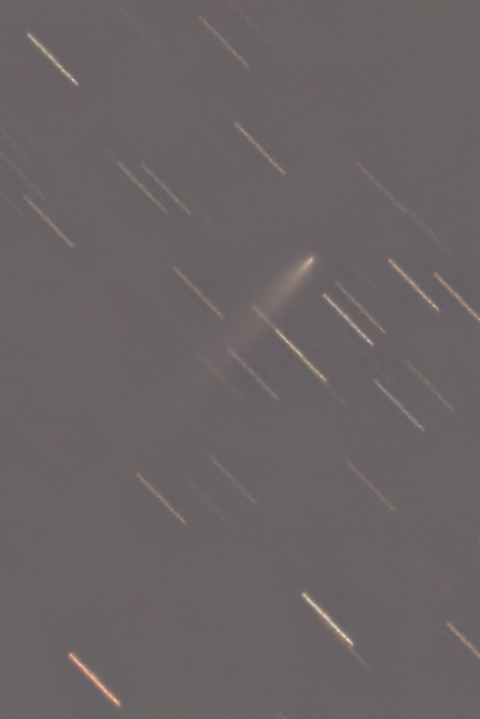 K1アトラス彗星.2025.12.03.WebⅦ