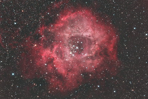 バラ星雲.2024.11.03.WebⅣ